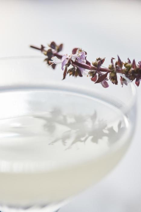 hotel barriere le carl gustaf st barth