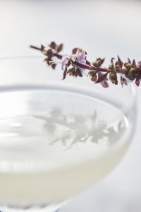 hotel barriere le carl gustaf st barth