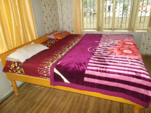 hotel digvijay