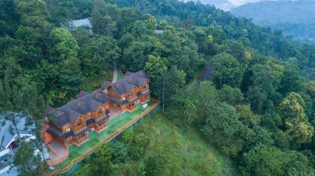 camellia and elettaria