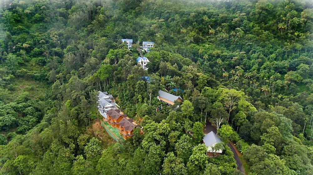 camellia and elettaria