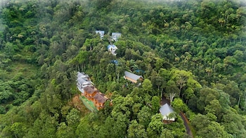 camellia and elettaria