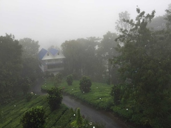 camellia and elettaria