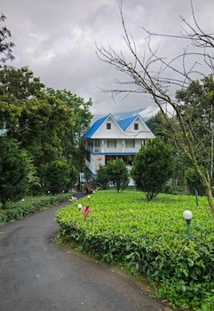 camellia and elettaria