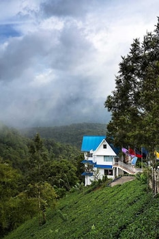 camellia and elettaria