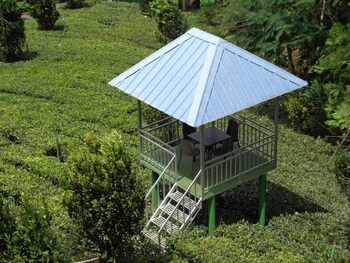 camellia and elettaria