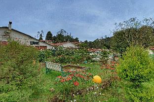 kodaikanal