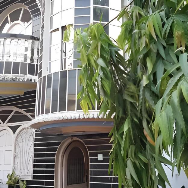 new hotel white palace