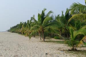 mayas beach house boutique serviced villa