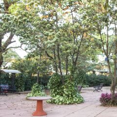 mahabaleshwar