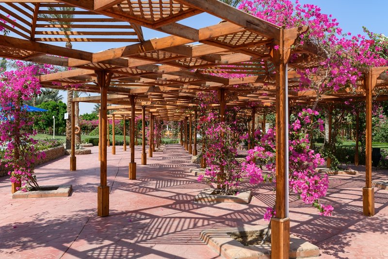 desert rose resort