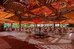 desert rose resort