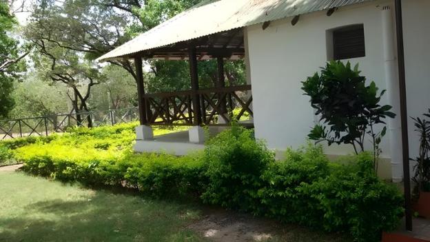 woodland adventure resort
