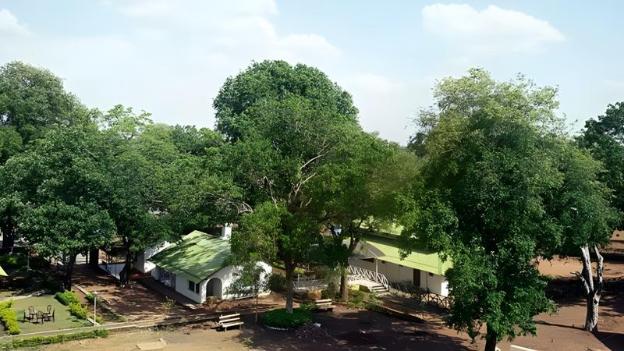 woodland adventure resort