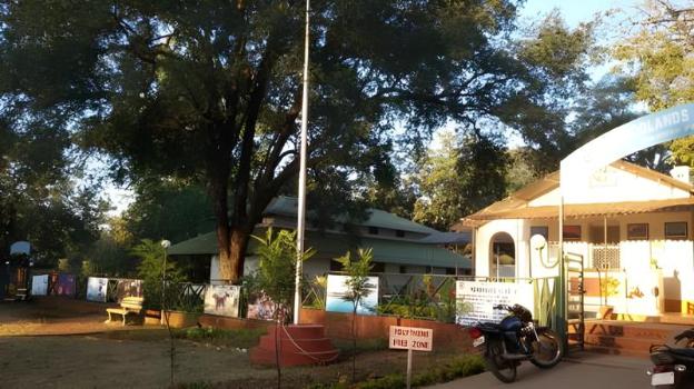 woodland adventure resort