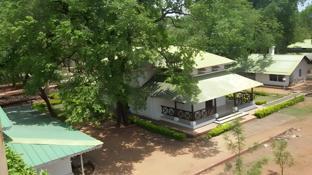 woodland adventure resort