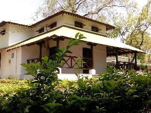 woodland adventure resort