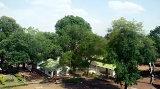 woodland adventure resort