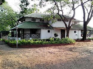 woodland adventure resort