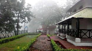 woodland adventure resort