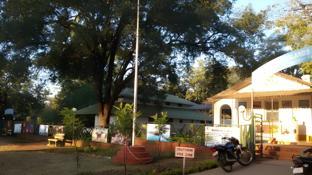 woodland adventure resort