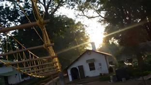 woodland adventure resort