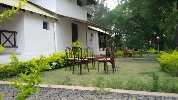 woodland adventure resort