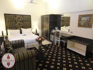 Capitol Hills Hotel,Greater Kailash>>Delhi,3 star