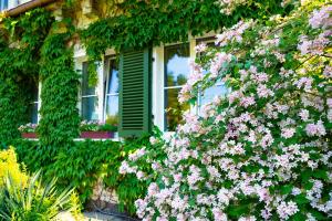 dollnsee schorfheide