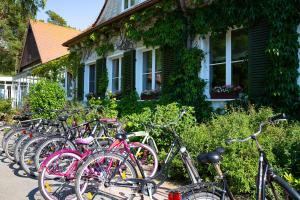 dollnsee schorfheide