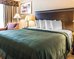 quality inn and suites