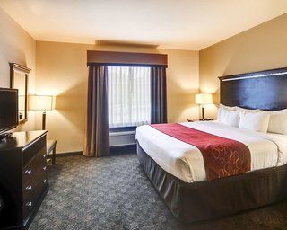 Comfort Suites Arlington - Entertainment District,Dallas>>Arlington,3 star