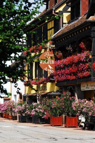 Hotel Arnold,Barr>>Andlau,4 star