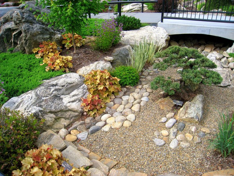 best western asheville blue ridge parkway