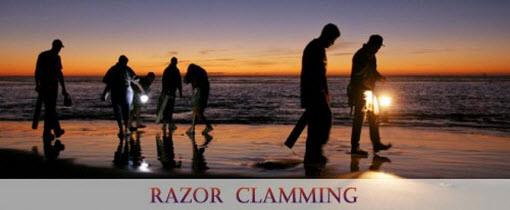 chautauqua resort and conference center