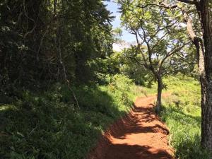 santo antonio do pinhal