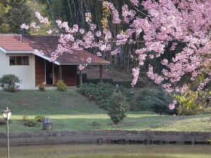 santo antonio do pinhal