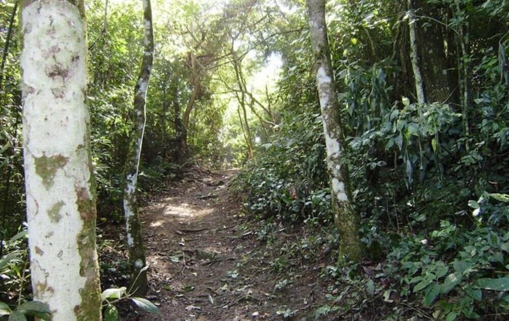 hotel fazenda reviver