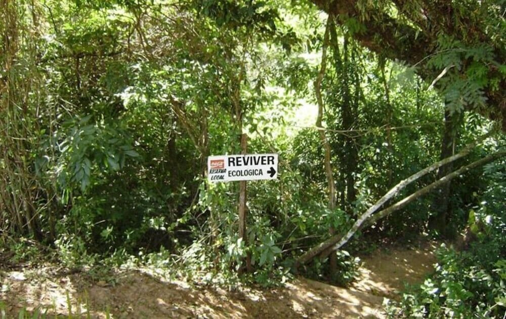 hotel fazenda reviver