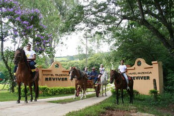 hotel fazenda reviver