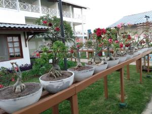 Brisamar Hotel Pousada,Alagoas State>>Barra De Sao Miguel,3 star