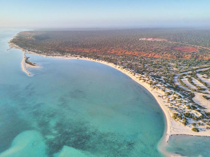 rac monkey mia dolphin resort