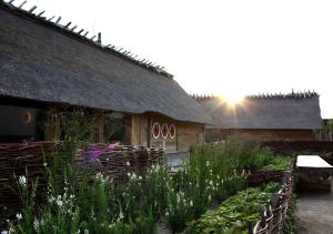 ostsee resort damp villas