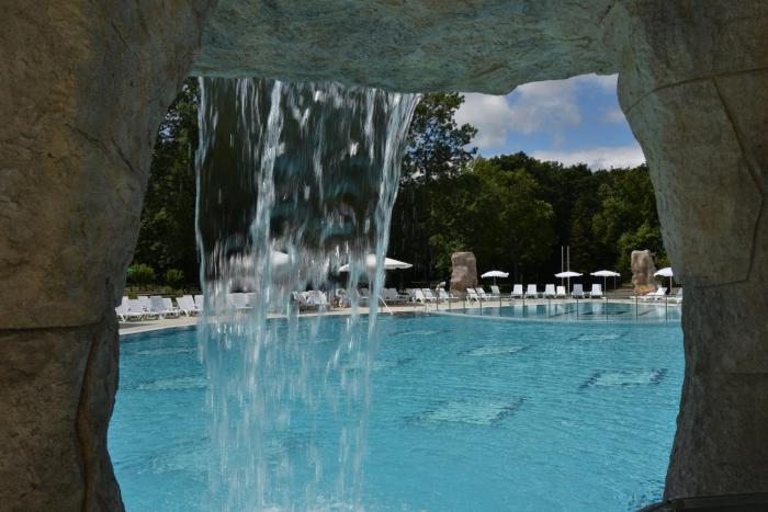 forest beach hotel