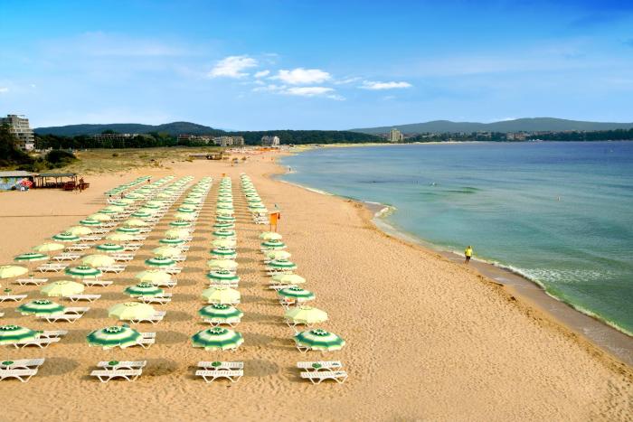 forest beach hotel