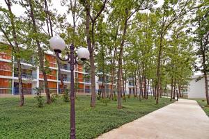forest beach hotel
