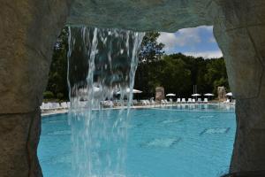 forest beach hotel