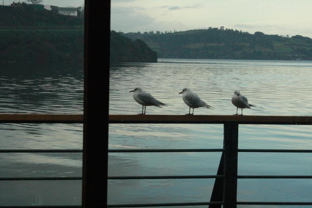palafito 1326 hotel boutique chiloe