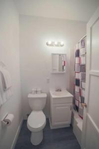 downtowner boutique hotel