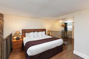 river terrace resort and convention center